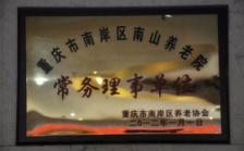 重庆市南岸区南山养老院